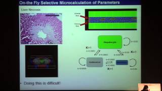 Towards Virtual Tissues multicell modeling using CompuCell3D Maciej Swat [upl. by Gregson]