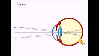 natuurkunde 3e klas Licht 55 het Oog [upl. by Nolan]