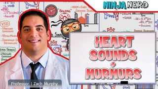 Heart Sounds amp Murmurs  Clinical Medicine [upl. by Esiom]