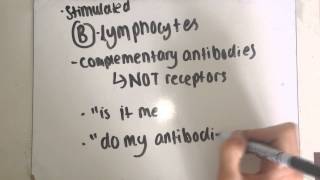 F212  The Immune Response EASY [upl. by Adon]