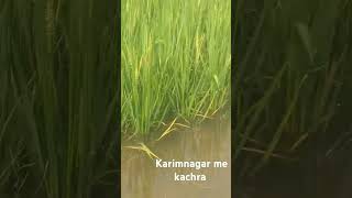 Karimnagar mein kachra ghar me ghotala [upl. by Granville593]