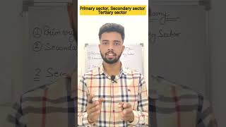 Primary sector Secondary sector Tertiary sector economy economics gs shorts [upl. by Hebbe]