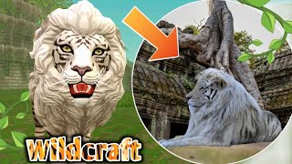 This is in REAL life wildcraft wild jungle Australia Egypt real map Locations 😱 [upl. by Arretak]