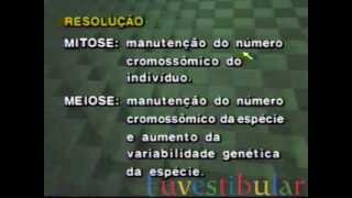 25 Exercícios Citologia e Genética  Biologia Vestibulando Digital [upl. by Nerland]