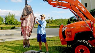 How to Clean and Cook a 300lb Grouper [upl. by Ivanah508]