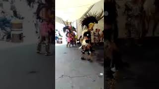 Danza Azteca medio sol [upl. by Aretahs]