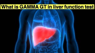 High blood Gamma Glutamyl Transferase explained [upl. by Vlada535]