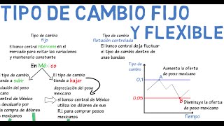 Tipo de cambio fijo y flexible  Cap 16  Macroeconomía [upl. by Ailasor]