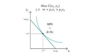 A6 Utility maximisation  Consumption  Microeconomics [upl. by Kaine]