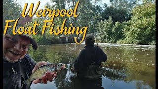 Float Fishing  Weir Pool Magic Video 262 [upl. by Elsworth]