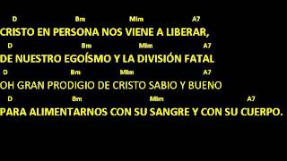 CANTOS PARA MISA  EUCARISTÍA MILAGRO DE AMOR  Pan Transformado  Letra y acordes  Comunión [upl. by Airetnohs]