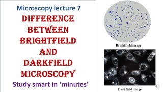 Differences between Brightfield and Darkfield microscopy  Microscopy lecture 7 [upl. by Farika]