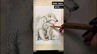 Drawing Polar Bears with Emma  Coloured Pencil Tutorial short [upl. by Nylzzaj274]