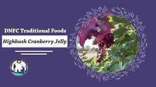 Traditional Foods  How to Make Highbush Cranberry Jelly [upl. by Enyalb]