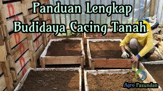 Panduan lengkap Budidaya cacing tanah [upl. by Mcgraw]