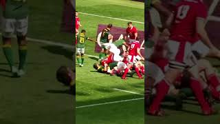 Good team effort by the SpringboksHIGHLIGHT…South Africa vs Wales🏉rugby [upl. by Dysart]