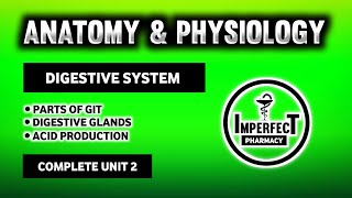 Digestive System  Parts Of Digestive System  Human Anatomy And Physiology  B Pharma 2nd Semester [upl. by Hufnagel]