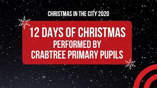 The 12 days of Christmas  Crabtree Farm pupils [upl. by Maguire]