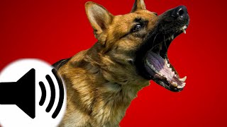 Dogs Barking Sound Effect [upl. by Alene]