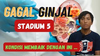 Gagal Ginjal Standium 5 Tanpa Cuci Darah Sudah Membaik  PAZ Method [upl. by Nottarts]