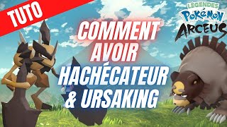 TUTO COMMENT AVOIR URSAKING ET HACHECATEUR DANS LEGENDS POKEMON ARCEUS  GUIDE [upl. by Elockcin]