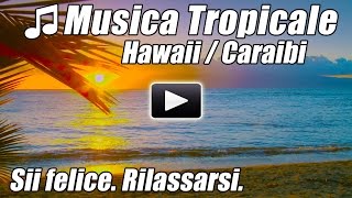 Canzoni a Tropicale Rilassante Romantico Isola Caraibica Musica Hawaiana rilassarsi Studio Hawaii st [upl. by Joshi989]