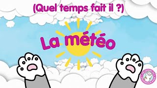 La météo Quel temps fait il   Chanson éducative  Professeur Baba [upl. by Leviram]