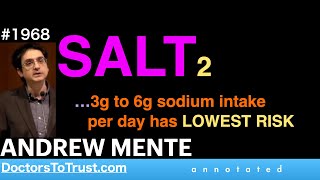 ANDREW MENTE 2  SALT2 …3g to 6g sodium intake per day has LOWEST RISK [upl. by Whitson]