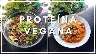 3 recetas VEGANAS altas en PROTEÍNA 🥦 [upl. by Anelem]