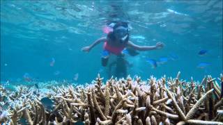 Snorkeling at Sakatia Lodge Nosy Sakatia Madagascar [upl. by Lareneg110]