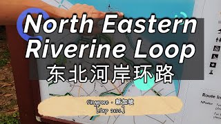 👟11👟 North Eastern Riverine Loop 东北河岸环路 [upl. by Somerville]