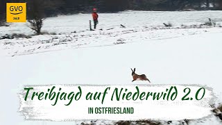 Treibjagd auf Niederwild in Ostfriesland 20  ein herrlicher Jagdtag mit guter Strecke [upl. by Leirbaj]