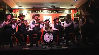 Melbourne Ceili Band live at Sydney Fleadh 2024 [upl. by Yduj]