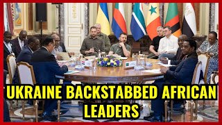 THEY ARE GREEDY THEY ARE GRIFTERS  African Leaders Visit to Ukraine [upl. by Htebazle255]