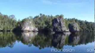 Indonesian Island Tours [upl. by Omolhs]