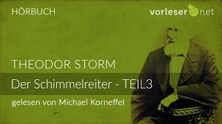 Theodor Storm Der Schimmelreiter  TEIL 3  HÖRBUCH  AUDIOBOOK [upl. by Stanislas]