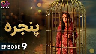 Pakistani Drama  Pinjra  Episode 9  Aplus Gold  Yumna Zaidi Nauman Aijaz  CZ1O [upl. by Narahs]