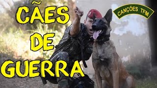 MALDITOS CÃES DE GUERRA  CANÇÕES DE TFM [upl. by Mahda390]