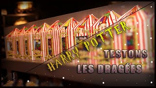 DUMBLEDORE STYLE  Bean Boozled amp Dragées de Bertie Crochue [upl. by Elfie]