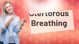 What is stertorous breathing in cats [upl. by Gunter]