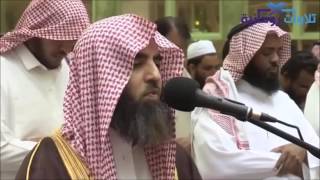 tilawat quran best voice  beautiful quran recitation  quran recitation really beautiful [upl. by Einalem]