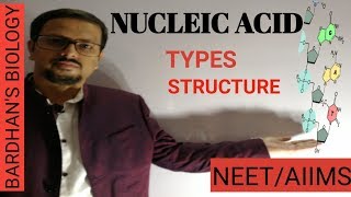 NUCLEIC ACIDS structure in detail amp types Biomolecules in HINDI [upl. by Kirbee]