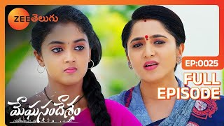 ఇద్దరం ఒకే దారిలో వెళ్తే ఎం అవుతుంది  Meghasandesam Telugu  Full Ep 25  Zee Telugu  08 Jul 2024 [upl. by Joane]