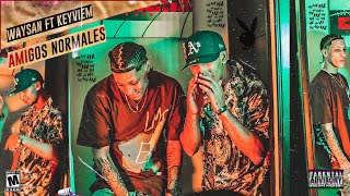 Waysan Ft Keyviem  AMIGOS NORMALES š¸š’•  VIDEO OFICIAL  Dir Argenis Fox [upl. by Nahsed]