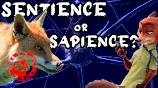 Sentient or Sapient  Whats the Difference  Sentience in Animals Explained [upl. by Yeorgi]