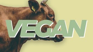 Heres why we need to rethink veganism [upl. by Neroc]