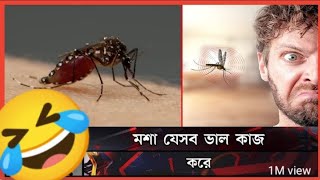 ভয়ংকর এডিস মশার সাথে সাক্ষাৎকার 🤣🥶🤫Interview with the dreaded Aedes mosquito 🤣 🤫 [upl. by Yllaw]