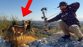 Bowhunting Whitetail Deer in the Appalachian Mountains [upl. by Verlee]