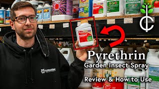 Pyrethrin Garden Insect Spray Review and How to Apply [upl. by Nahsor]