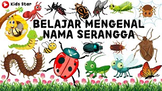 BELAJAR NAMA HEWAN SERANGGA BAHASA INDONESIA  INGGRIS  NAMES OF INSECT LEARN ANIMALS NAMA BINATANG [upl. by Yemaj550]